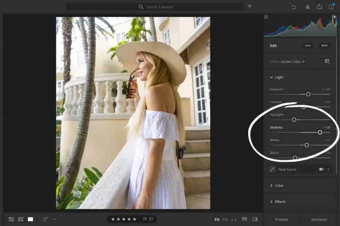 Cara mengedit foto dengan lightroom