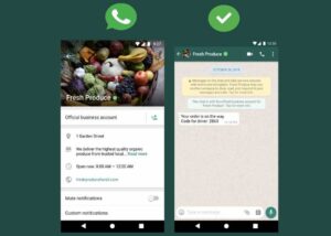 Cara mengecilkan tampilan whatsapp