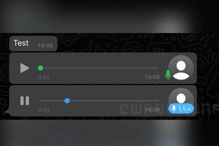 Cara edit voice note wa