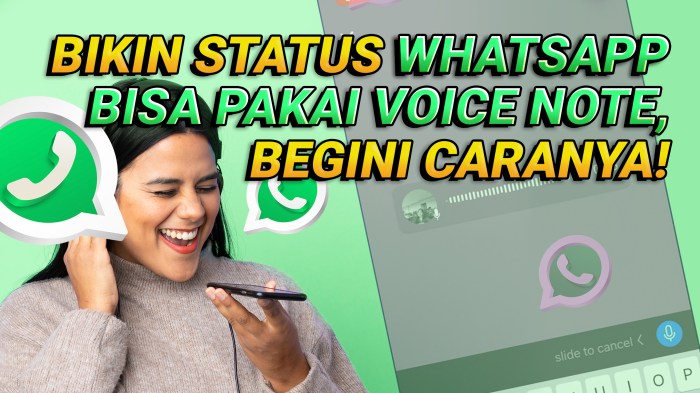 Cara vn di status whatsapp