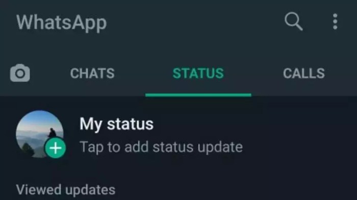 Cara membuka bisukan status wa