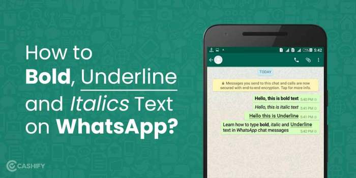 Cara membuat underline di whatsapp
