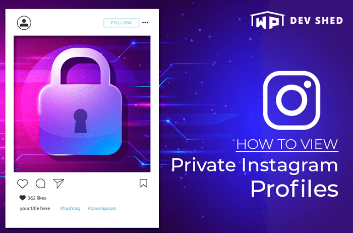 Private instagram videos viewer ig tested updated jan 2021