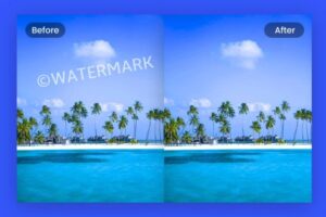 Watermark watermarks offline