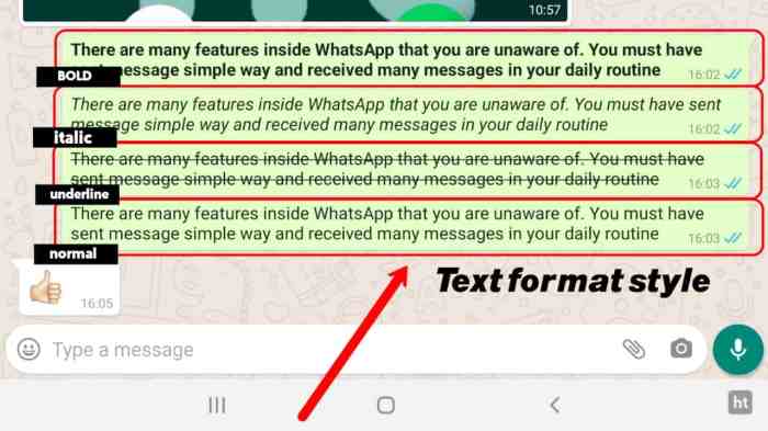 Whatsapp text underline otechworld copy underlined