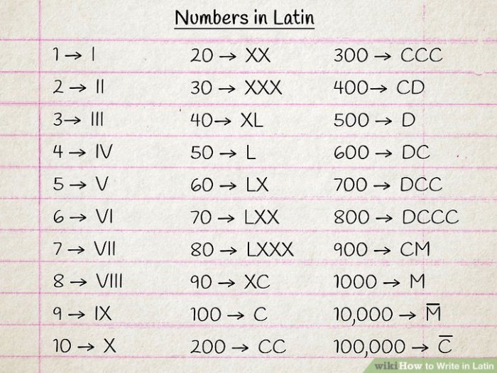 Latin write nouns