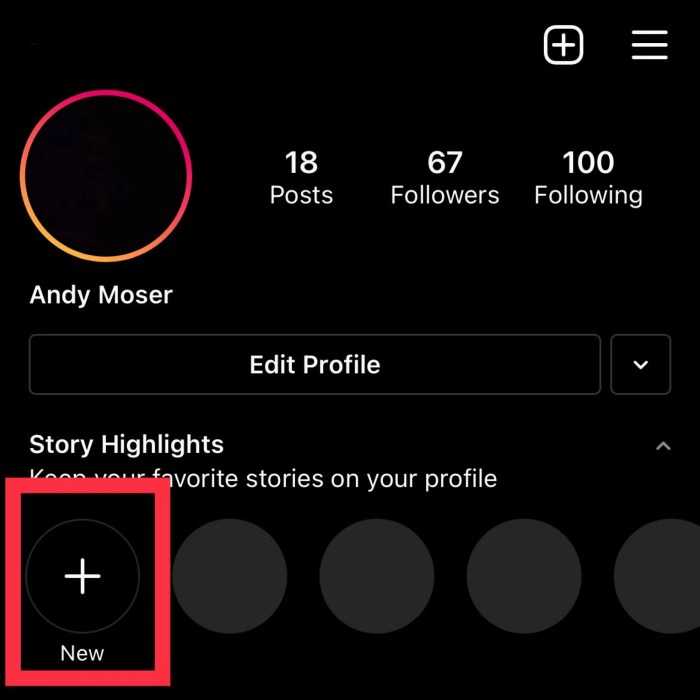 Cara melihat highlight instagram