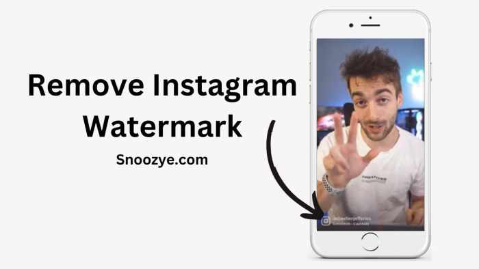 Cara menghilangkan watermark video instagram