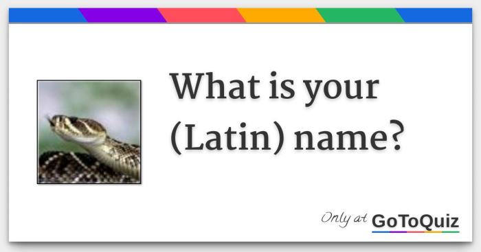 Cara membuat nama ig latin